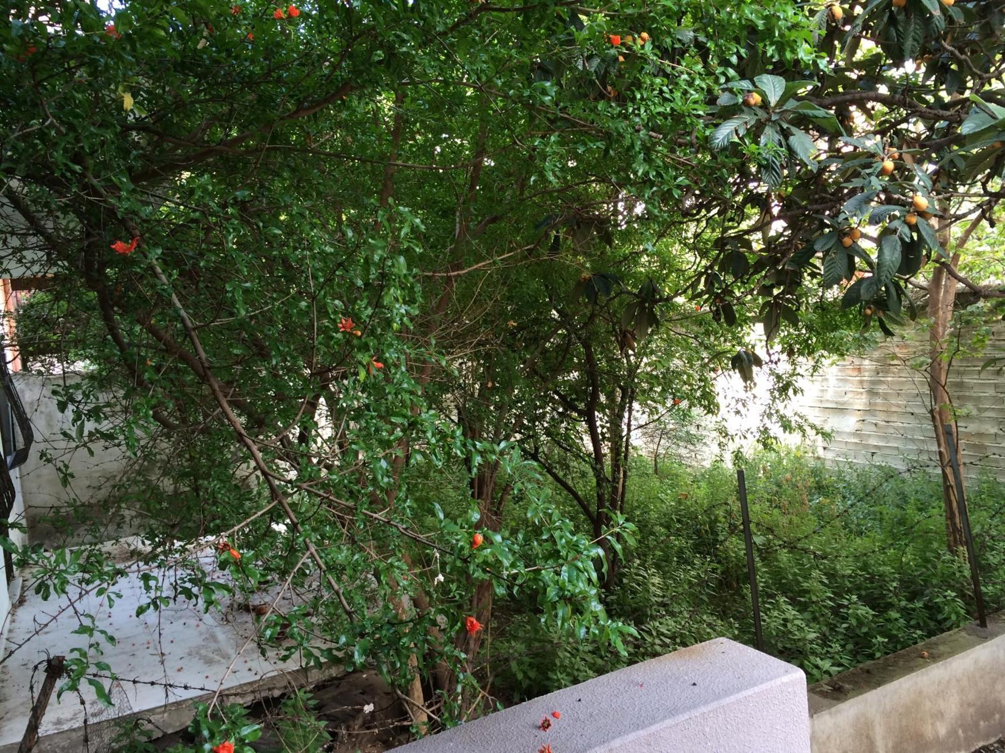 Konakli Apartments İzmir Extérieur photo